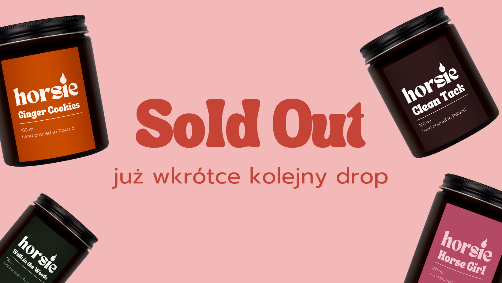 Zdjęcie w tle Horsie